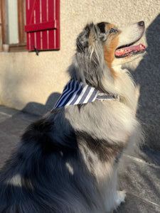 Bandana Tandem pour chien de couleur bleu rayé