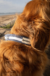 Bandana Tandem pour chien de couleur bleu à rayures