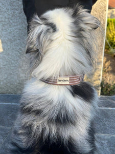 Bandana Tandem pour chien de couleur marron